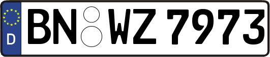 BN-WZ7973