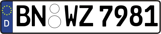 BN-WZ7981