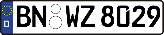 BN-WZ8029