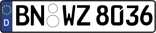 BN-WZ8036