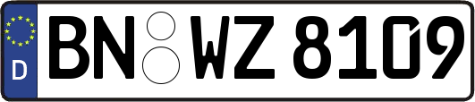 BN-WZ8109