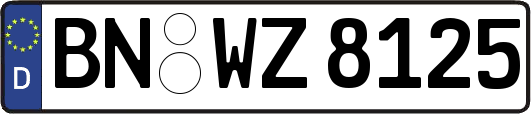 BN-WZ8125