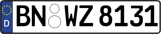 BN-WZ8131