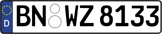BN-WZ8133