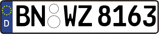 BN-WZ8163