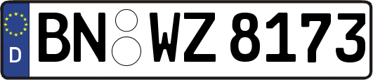 BN-WZ8173