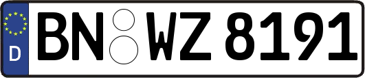 BN-WZ8191