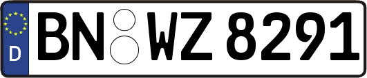 BN-WZ8291