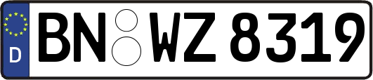 BN-WZ8319