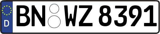 BN-WZ8391