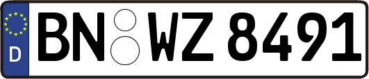 BN-WZ8491