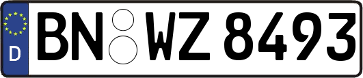 BN-WZ8493