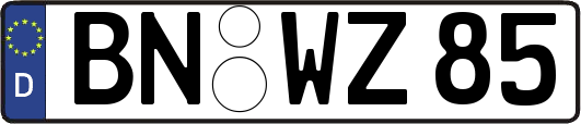 BN-WZ85