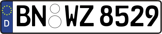 BN-WZ8529