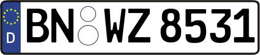 BN-WZ8531