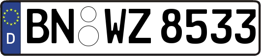 BN-WZ8533