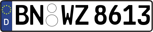 BN-WZ8613