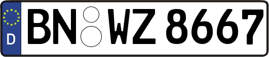 BN-WZ8667