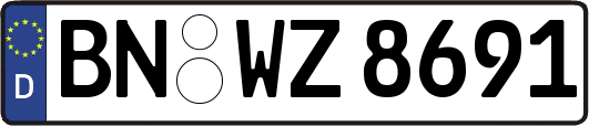 BN-WZ8691