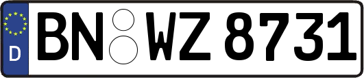 BN-WZ8731