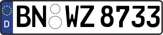 BN-WZ8733