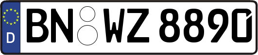 BN-WZ8890