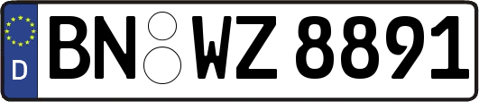 BN-WZ8891