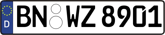 BN-WZ8901