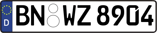 BN-WZ8904