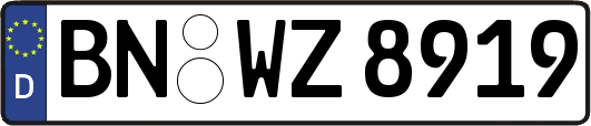 BN-WZ8919