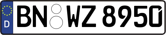 BN-WZ8950