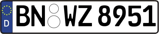 BN-WZ8951