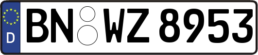 BN-WZ8953