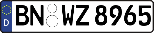 BN-WZ8965