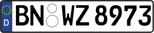 BN-WZ8973