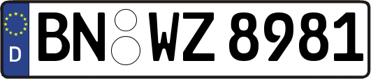 BN-WZ8981