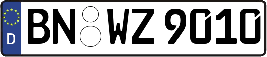 BN-WZ9010