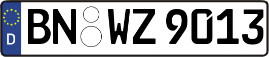 BN-WZ9013