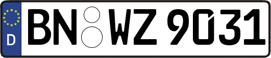 BN-WZ9031