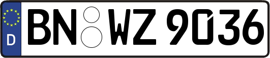 BN-WZ9036