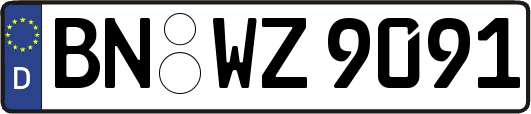 BN-WZ9091