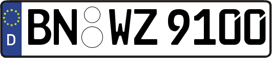 BN-WZ9100