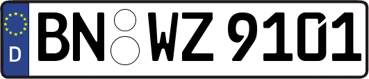 BN-WZ9101