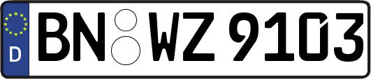 BN-WZ9103