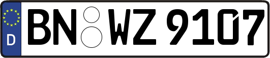 BN-WZ9107