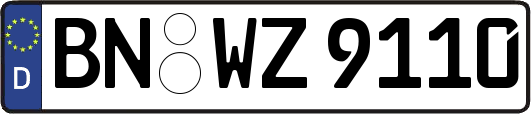 BN-WZ9110