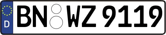 BN-WZ9119