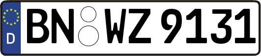 BN-WZ9131