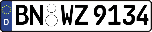 BN-WZ9134