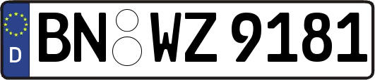 BN-WZ9181